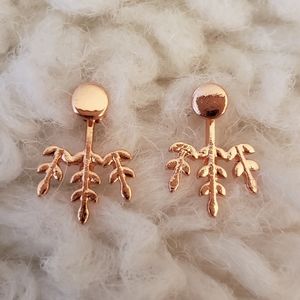 Autumn Shimmer Earrings by Paparazzi